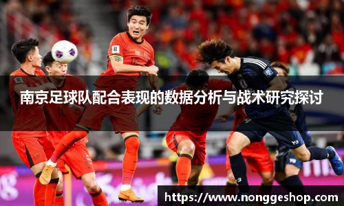 南京足球队配合表现的数据分析与战术研究探讨