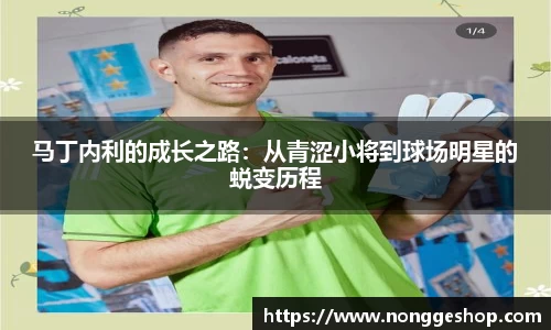 马丁内利的成长之路：从青涩小将到球场明星的蜕变历程